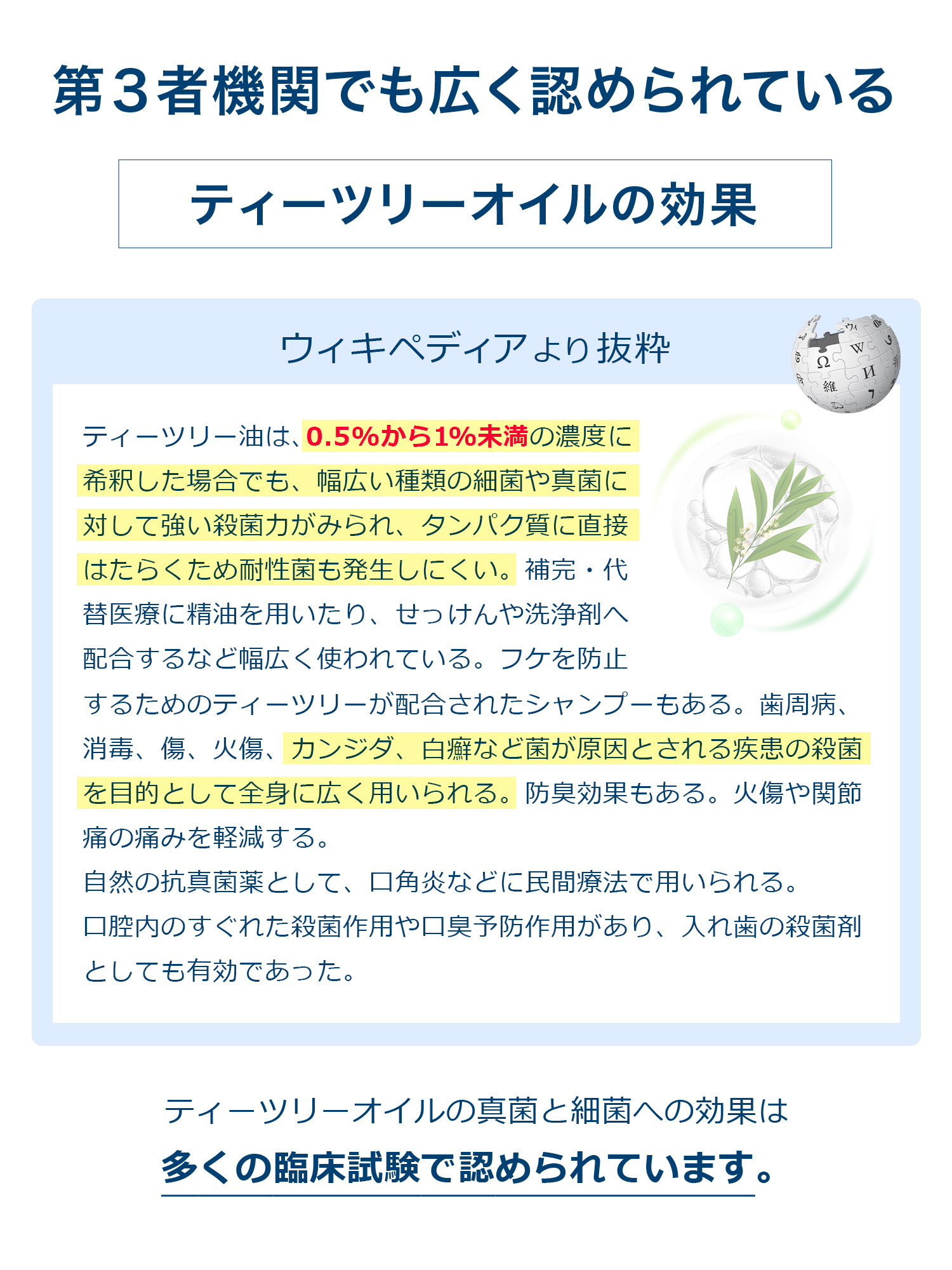 第3者機関でも広く認められている。ティーツリーオイルの効果について。ティーツリー油は、0.5%から1%未満の濃度に希釈した場合でも、幅広い種類の細菌や真菌に対して強い殺菌力がみられ、タンパク質に直接はたらくため耐性菌も発生しにくい。補完・代替医療に精油を用いたり、せっけんや洗浄剤へ配合するなど幅広く使われている。フケを防止するためのティーツリーが配合されたシャンプーもある。歯周病、消毒、傷、火傷、カンジダ、白癬など菌が原因とされる疾患の殺菌を目的として全身に広く用いられる。防臭効果もある。火傷や関節痛の痛みを軽減する。自然の抗真菌薬として、口角炎などに民間療法で用いられる。口腔内のすぐれた殺菌作用や口臭予防作用があり、入れ歯の殺菌剤としても有効であった。ティーツリーオイルの真菌と細菌への効果は多くの臨床試験で認められています。