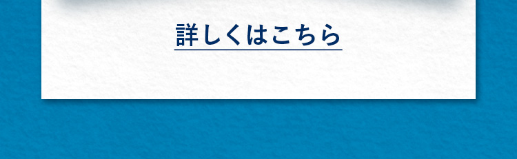 詳細はコチラ
