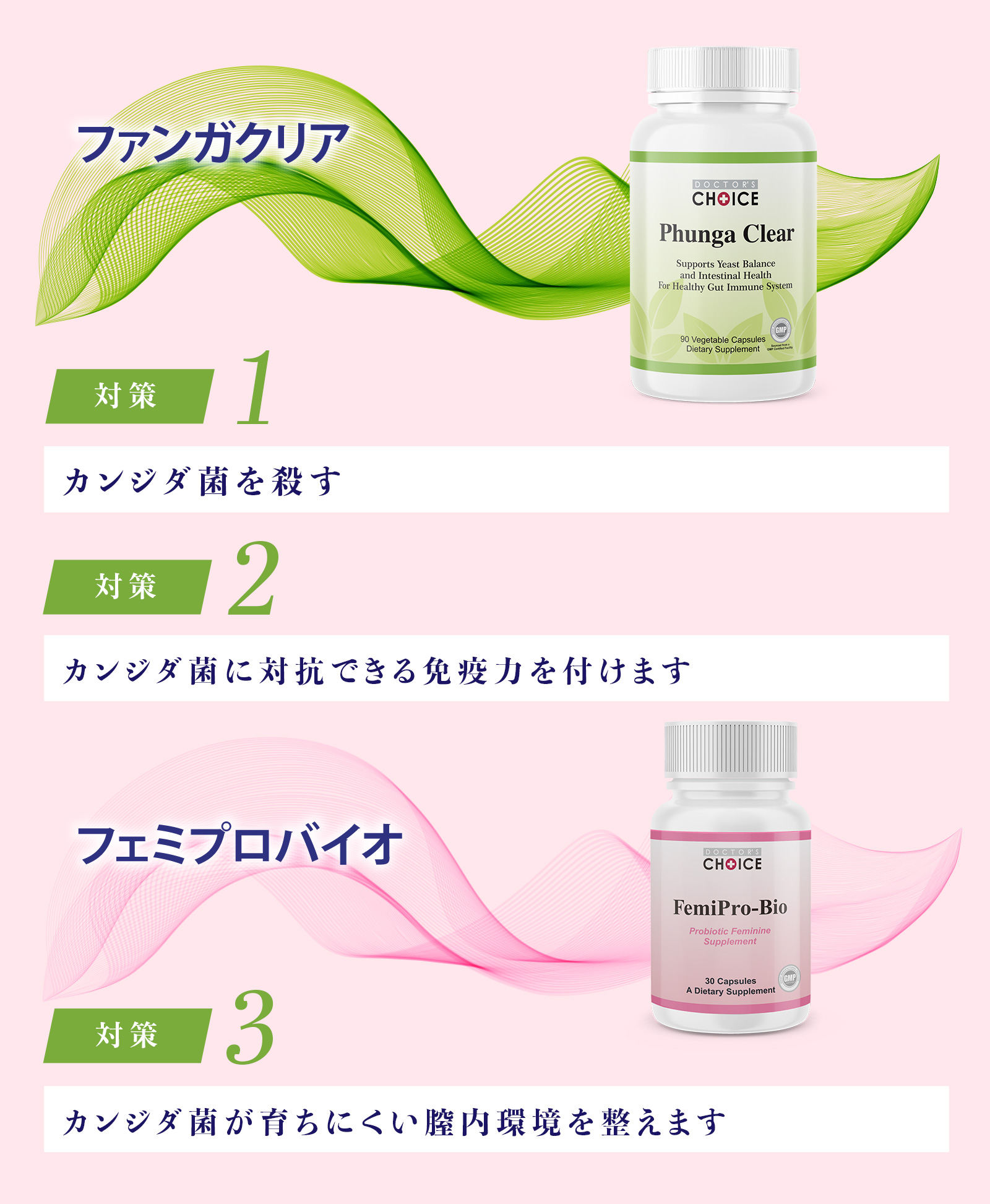 カンジダ菌を殺す・カンジダ菌に対抗できる免疫力を付けます・カンジダ菌が育ちにくい膣内環境を整えます