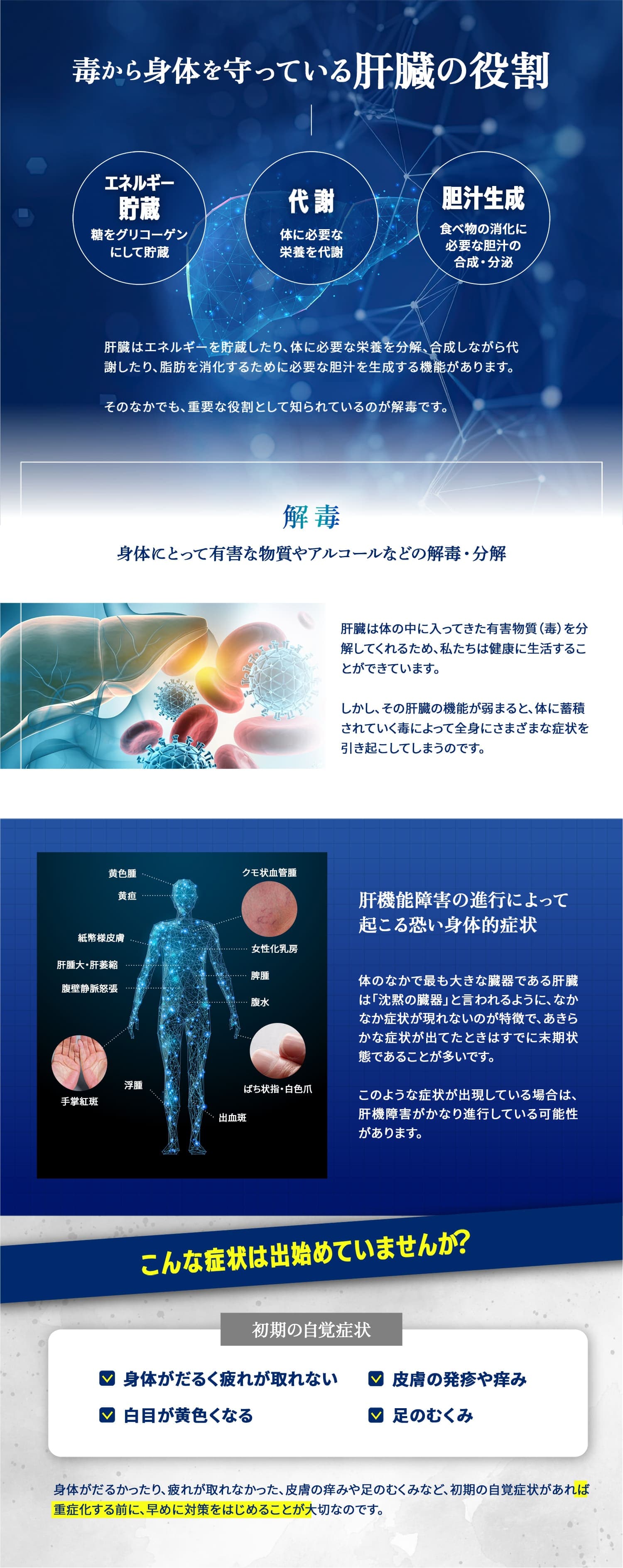 肝臓はエネルギーを貯蔵したり、体に必要な栄養を分解、合成しながら代謝したり、脂肪を消化するために必要な胆汁を生成する機能があります。そのなかでも、重要な役割として知られているのが解毒です。解毒:身体にとって有害な物質やアルコールなどの解毒・分解。肝臓は体の中に入ってきた有害物質(毒)を分解してくれるため、私たちは健康に生活することができています。しかし、その肝臓の機能が弱まると、体に蓄積されていく毒によって全身にさまざまな症状を引き起こしてしまうのです。肝機能障害の進行によって起こる恐い身体的症状:体のなかで最も大きな臓器である肝臓は「沈黙の臓器」と言われるように、なかなか症状が現れないのが特徴で、あきらかな症状が出てたときはすでに末期状態であることが多いです。このような症状が出現している場合は、肝機障害がかなり進行している可能性があります。こんな症状は出始めていませんか?身体がだるく疲れが取れない・皮膚の発疹や痒み・白目が黄色くなる・足のむくみ。身体がだるかったり、疲れが取れなかった、皮膚の痒みや足のむくみなど、初期の自覚症状があれば重症化する前に、早めに対策をはじめることが大切なのです。