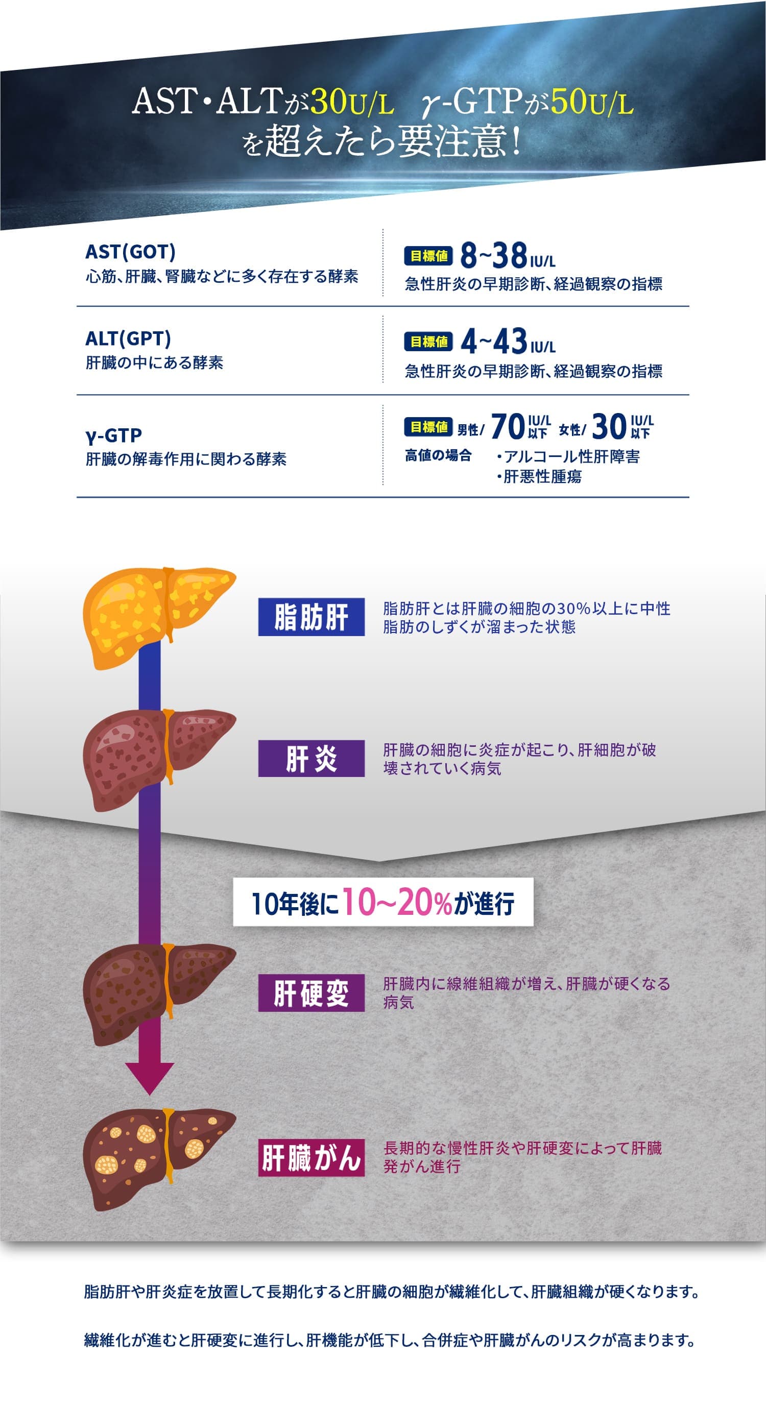 AST・ALTが30U/L γ-GTPが50U/Lを超えたら要注意!脂肪肝:脂肪肝とは肝臓の細胞の30%以上に中性脂肪のしずくが溜まった状態/肝炎:肝臓の細胞に炎症が起こり、肝細胞が破壊されていく病気/肝硬変:肝臓内に線維組織が増え、肝臓が硬くなる病気/肝臓がん:長期的な慢性肝炎や肝硬変によって肝臓発がん進行