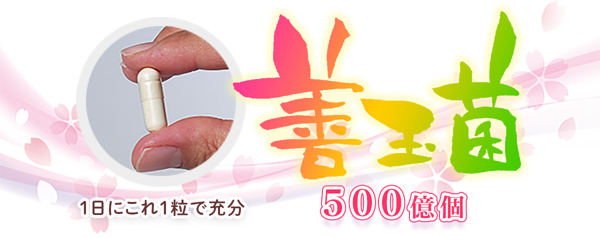 善玉菌500億個